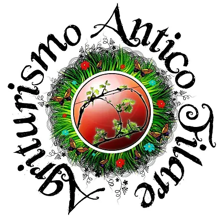 Antico Filare Bianzone